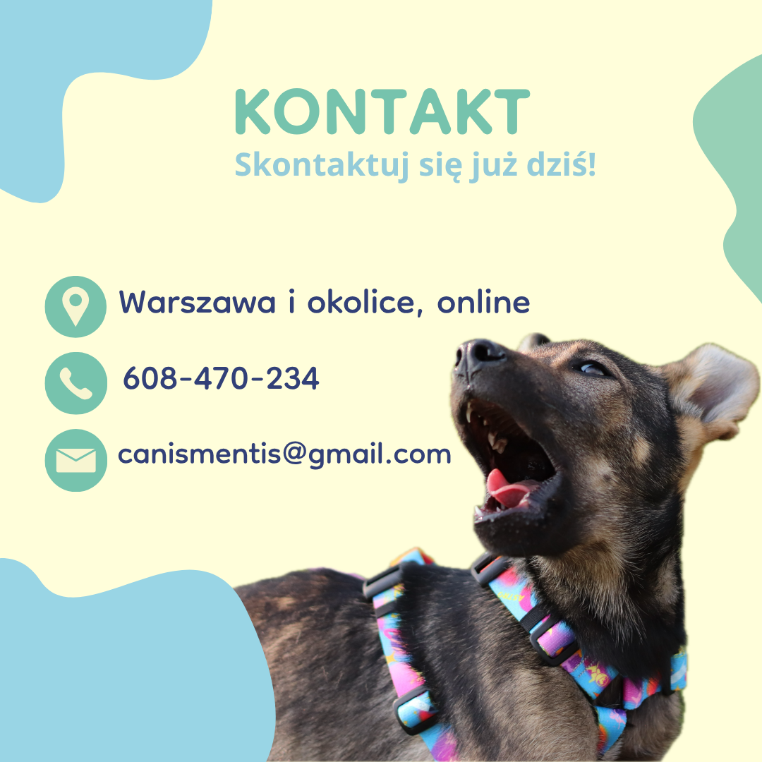 Zofia Grzelak — zdjęcie 4